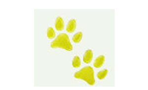 wXebvSx  RP1 ybgGu fUCi1V[g2j p[c z_i hXAbv |Cg STEPWGN IvV ANZT[ pi