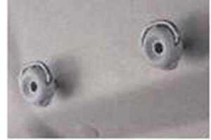 wAg[x  S321G S331G [eBeBtbN 2Zbg p[c _Cnci Œ atrai IvV ANZT[ pi