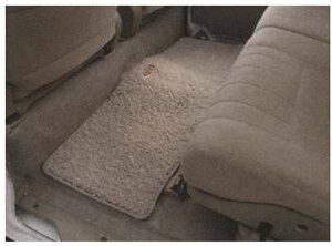 wAg[x  S321G S331G O}bg p[c _Cnci atrai IvV ANZT[ pi