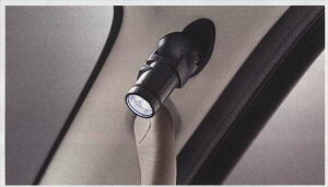 wAg[x  S321G S331G s[Ɩ p[c _Cnci atrai IvV ANZT[ pi