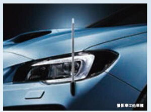 wH[Ox  VM4 VMG tF_[Rg[iI[gj p[c Xoi tF_[v tF_[|[ tF_[Cg IvV ANZT[ pi