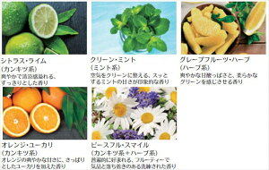 wMINI Nu}x  LV15M MINI A}EfBt[U[p̃GbZVEIĈ݁i[pj p[c MINIi F  IvV ANZT[ pi