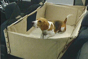 wGNXgCx  NT30 PNT30 T30 tLVuL[ Zp[Vlbg p[c Yi Q[W oXPbg ybgL[ X-TRAIL IvV ANZT[ pi