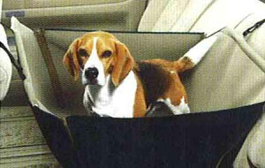 wvT[Wx  TU31 TNU31 tLVuL[i@\tj p[c Yi Q[W oXPbg ybgL[ PRESAGE IvV ANZT[ pi