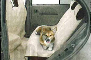 wACx  HA1 ybgV[gJo[iȗpj p[c OHi ȃJo[  V[gی IvV ANZT[ pi