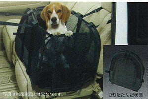 wGNXgCx  T31 NT31 TNT31 ybgLASTCY p[c Yi Q[W oXPbg ybgL[ X-TRAIL IvV ANZT[ pi