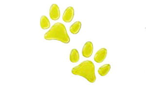 wN-ONEx  JG1 JG2 p[c z_i IvV ANZT[ pi