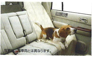 weB[_eBIx  SC11 SJC11 SNC11 ybgV[gJo[isDz3tj p[c Yi ȃJo[  V[gی TIIDA IvV ANZT[ pi