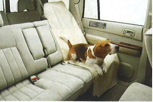 wTt@x  WFGY61 ybgV[gJo[isDz3tj p[c Yi ȃJo[  V[gی SAFARI IvV ANZT[ pi