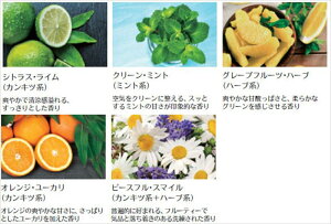 wNXI[o[x  42BT20 MINI A}EfBt[U[ p̃GbZVEICi[pj p[c MINIi F  IvV ANZT[ pi