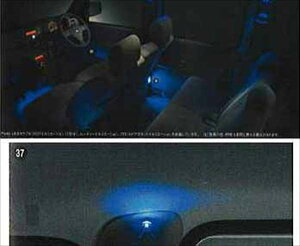 atw043 wAg[x  S321G S331G [fB[C~l[V p[c _Cnci atrai IvV ANZT[ pi