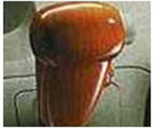 wAg[x  S321G S331G uEEbhVtgmuJo[ p[c _Cnci EbhVtgmu atrai IvV ANZT[ pi