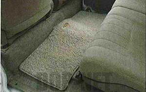 atw072 wAg[x  S321G S331G O}bg p[c _Cnci atrai IvV ANZT[ pi