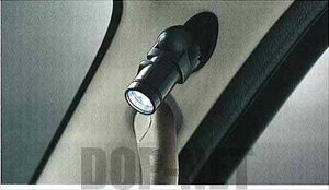 atw079 wAg[x  S321G S331G s[Ɩ p[c _Cnci atrai IvV ANZT[ pi