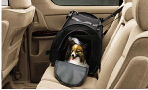 wAt@[hx  ANH20 ybgL[ L p[c g^i ybgLA Q[W oXPbg alphard IvV ANZT[ pi