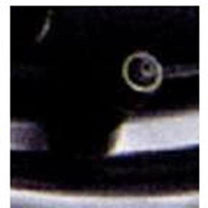 wfBx  SC25 SNC25 X`[[hzC[ GAou 1ɕt p[c XYLi d Ɩ Cg landy IvV ANZT[ pi