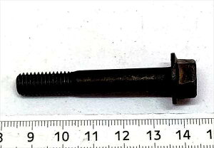 w12Ԃ̂݁x Jv`[mp {g(8X51) 09103-08120 FIG141a XYLi