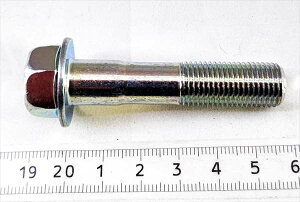 w20Ԃ̂݁x Wj[p {g(12X55) 09103-12501 FIG416a XYLi