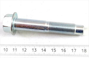 w19Ԃ̂݁x Wj[p {g(12X71) 09135-12003 FIG430g XYLi