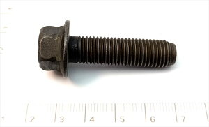 GL][Xg pCv  tW {g  w}̗ 44186 ̂݁x Xoi GNV[K KN[20N04`next]wiԁx 44059AA030 ^j8^