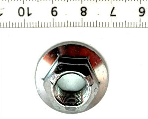 Zt cN icg  w}̗ N350006 ̂݁x Xoi KVB KN[21N02`25N04]wiԁx 902350006 ^j1^
