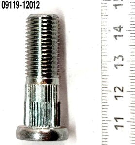 w26Ԃ̂݁x Xy[VAp {g(12X38) 09119-12012 FIG416h XYLi