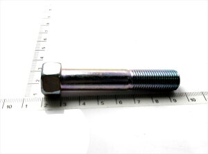 w6Ԃ̂݁x Wj[p {g(12X65) 09100-12094 FIG430a XYLi
