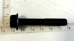 w 4Ԃ̂݁x Wj[p {g 0155008503015500850B FIG281a XYLi