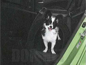 wXvbVx  XB32S ybgLA p[c XYLi Q[W oXPbg ybgL[ splash IvV ANZT[ pi