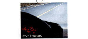 w[hX^[x  NCEC X[p[LZmr[izCg6000kj2Zbg p[c }c_i Roadster IvV ANZT[ pi