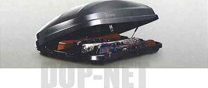 GNX [t{bNX(XLTCY)pXL[bN* xci GNX p[c w461 p[c  xc xc xc i IvV