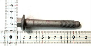 w22Ԃ̂݁x Xy[VAp {g(12X77) 09135-12018 FIG416c XYLi kwd107kwd