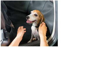 wJ[tB[_[x  NKE155G NKE166G ZRE162 NRE161 NZE161 NZE164 ybgV[gJo[ 2ڗp p[c g^i ȃJo[  V[gی fielder IvV ANZT[ pi