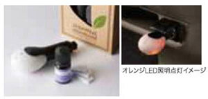 wt[hx  GP3 A}[g fBt[ULbg(IWLEDƖtj p[c z_i F  FREED IvV ANZT[ pi