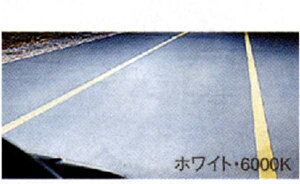 wx[Tx  DC5W DC5R X[p[LZmr[izCgE6000K̂)2 p[c }c_i VERISA IvV ANZT[ pi