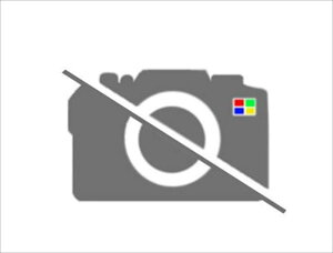 wCT125En^[Jux JA65 ЊOi L^R [^[یtB 1 HONDA_2 p[c IvV ANZT[ pi
