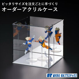 オーダーアクリルケース アクリルボックス フィギュアケース 透明 ガラス ディスプレイ 展示 ショーケース コレクション コレクションケース フィギュア 人形ケース 注文 別注 オリジナル オーダーサイズ 背面ミラー 台座