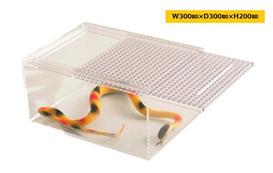 AN ঒ P[X W300xD300xH200 ybg  wr  Xl[N J NK T gJQ  C nX^[ bg    P[W P[W nEX  NA Y 