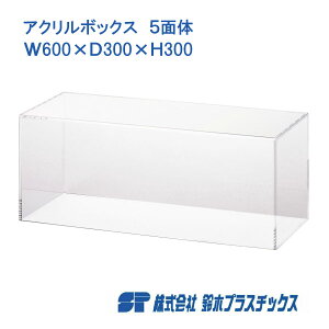 AN tBMAP[X 5ʑ W600×D300×H300 3mm  NA ANP[X AN{bNX RNVP[X V[P[X WP[X l`P[X fBXvC W tBMA 60cm