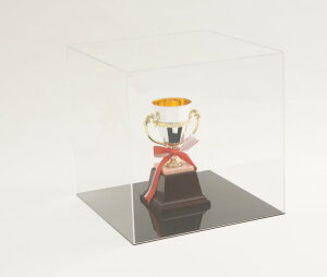 AN tBMAP[X t W300×D300×H300  ubN ANP[X AN{bNX RNVP[X V[P[X WP[X l`P[X {bNX fBXvC W  