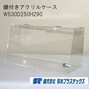 AN tWP[X t W530×D250×H290 3mm  NA ANP[X AN{bNX RNVP[X V[P[X WP[X l`P[X fBXvC L[z_[ S
