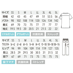 サイズ表