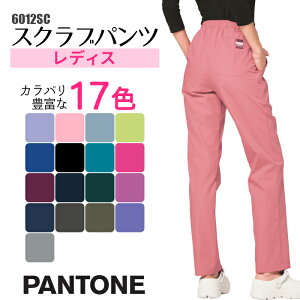 P2{11/16܂Łm pc  Y{  6012SC Xg[gpc XNu pc fB[X  p jtH[ t  p i[X  אg| i[X XbNX