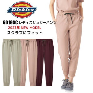 _BFIGg[őSi10{^fBbL[Y XNu WK[pc  Y{ Xgb` Dickies 6019SC ×p t jtH[ fB[X i[X  XbNX p p 