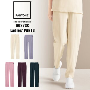 P2{11/16܂Ł2024 V  pg XNu pc p fB[X Y{ Xgb` 6022SC ×p t jtH[ i[X  XbNX p p   앞 