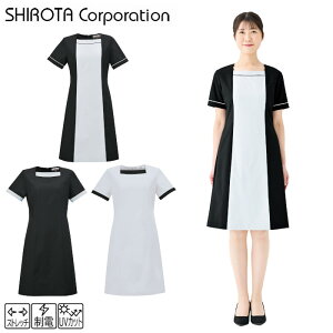 P2{10/14`17聟GXe jtH[  s[X 킢 lC T Xgb`  V^R[|[V  ubN O[ UVJbg d E-3171 SHIROTA elefee GtB