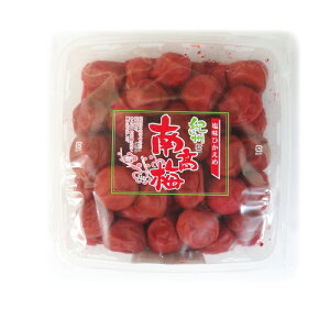 IB썂~ yTCYz Ђ (2kg×1/2/4) IBHi  