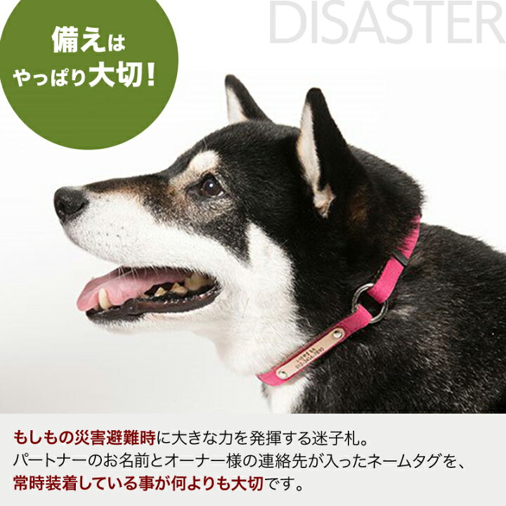 楽天市場 犬 首輪 迷子札 チョーカー 小型犬 中型犬 大型犬 軽い 日本製 迷子札付き おしゃれ かわいい 名入れ 本革迷子札付きチョーカー Vol 1 犬猫の首輪店 すず首輪製作工房 楽天市場 犬 首輪 迷子札 チョーカー 小型犬 中型犬 大型犬 軽い 日本製 迷子札付き おしゃれ かわいい 名入れ 本革迷子札付きチョーカー Vol 1 犬猫の首輪店 すず首輪製作工房