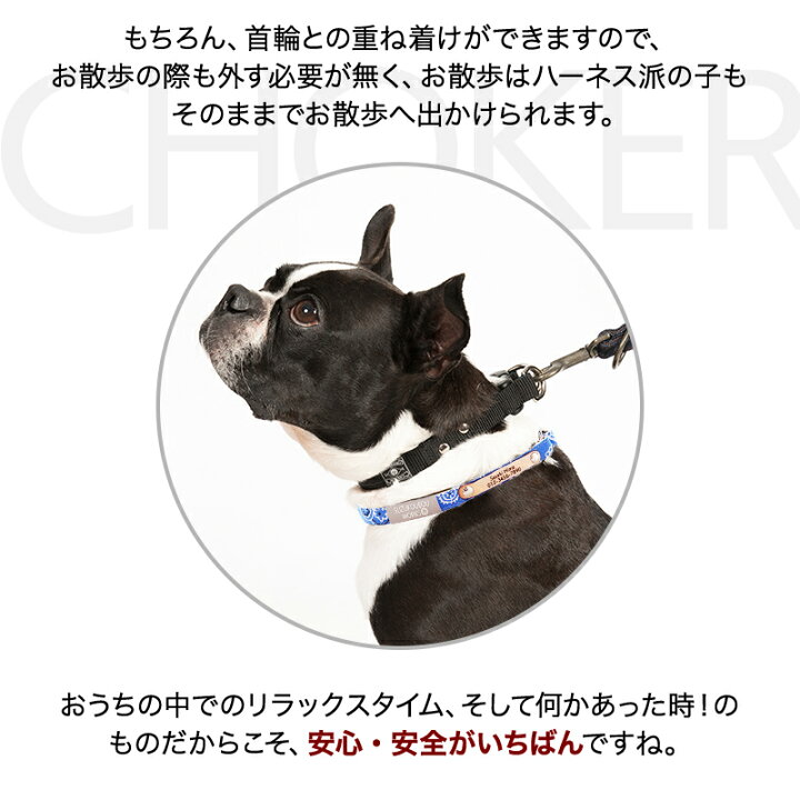楽天市場 犬 首輪 迷子札 チョーカー 小型犬 中型犬 大型犬 軽い 日本製 迷子札付き おしゃれ かわいい 名入れ 本革迷子札付きチョーカー Vol 2 犬猫の首輪店 すず首輪製作工房 楽天市場 犬 首輪 迷子札 チョーカー 小型犬 中型犬 大型犬 軽い 日本製 迷子札付き おしゃれ かわいい 名入れ 本革迷子札付きチョーカー Vol 2 犬猫の首輪店 すず首輪製作工房