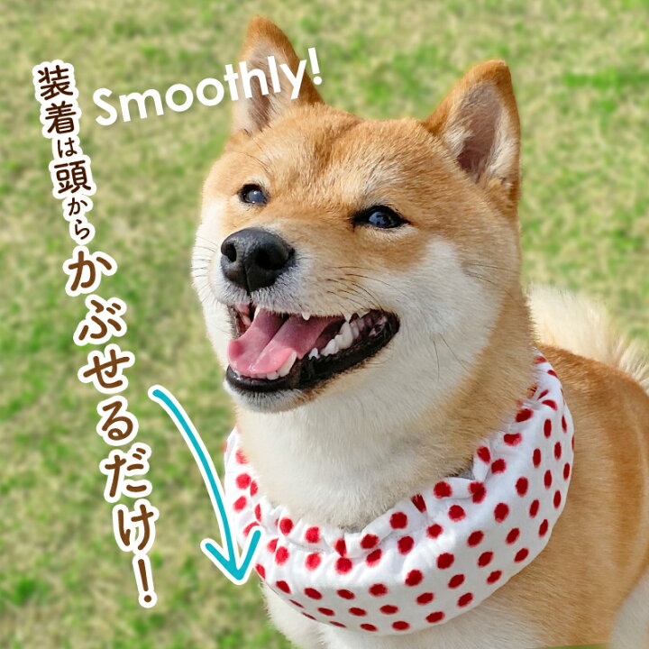 市場 日本製 超小型犬 熱中症対策 クールバンダナ クールネック 冷える 大型犬 犬 保冷剤 中型犬 小型犬 クールバンド 夏 市場 日本製 超小型犬 熱中症対策 クールバンダナ クールネック 冷える 大型犬 犬 保冷剤 中型犬 小型犬 クールバンド 夏